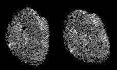 Fingerprints